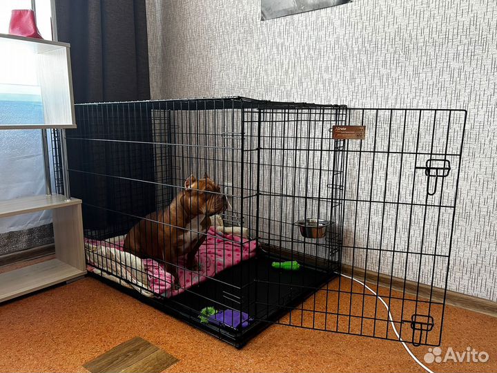 Вольер для собак