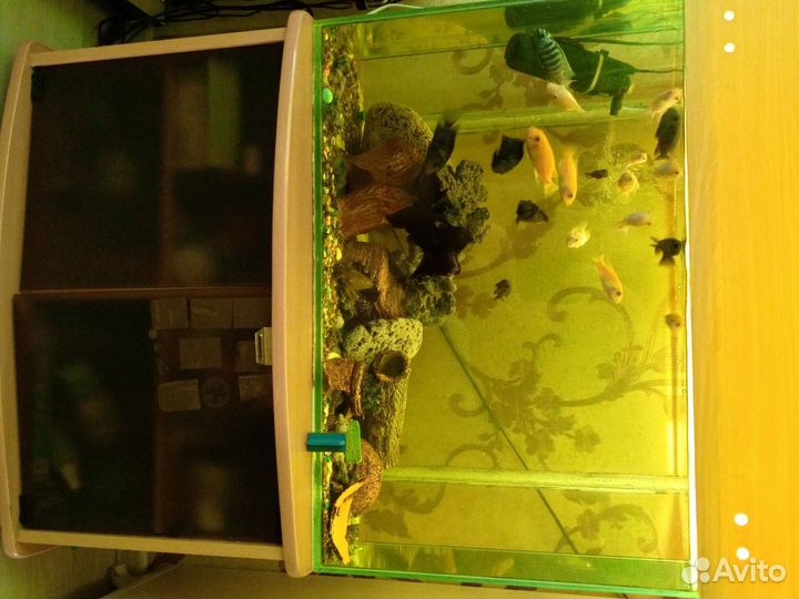 Аквариум