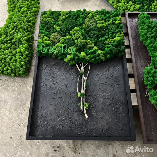 Панно со мхом