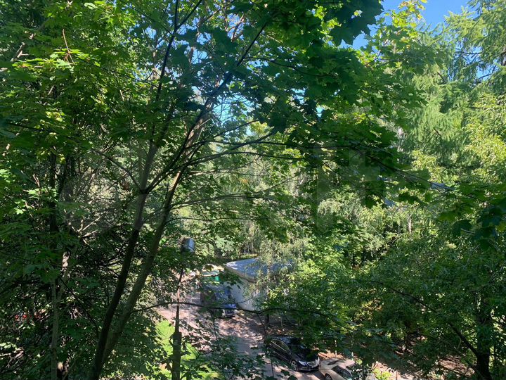 3-к. квартира, 56 м², 4/5 эт.