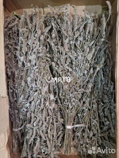 Травы для бани