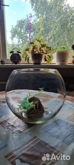 Аквариум круглый