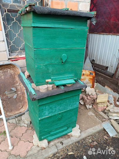 Улей для пчёл Дадан