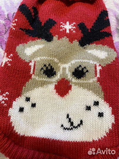 Вязаный свитер для собачки