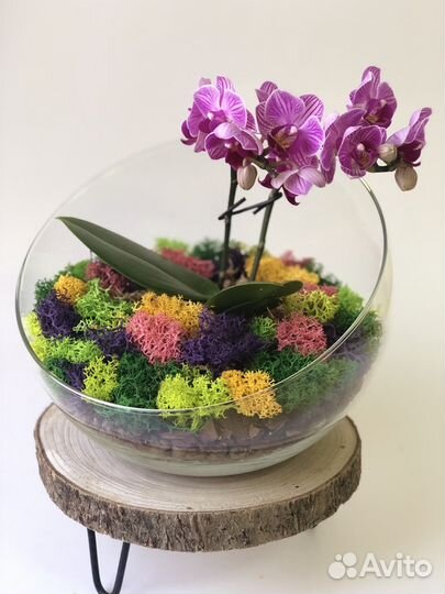 Флорариум на заказ