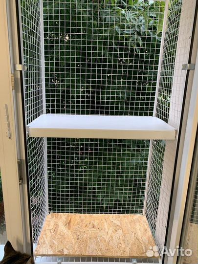 Кошка на окошке (балкон для выгула кошек)