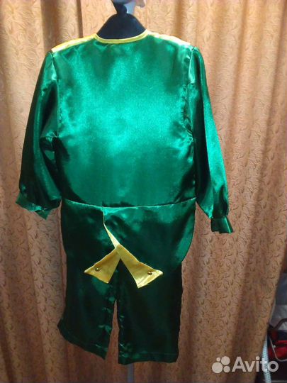 Костюм кузнечика, сверчка, огурчика