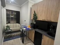 Квартира-студия, 17 м², 2/9 эт.