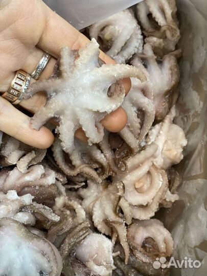 Мини-осьминоги