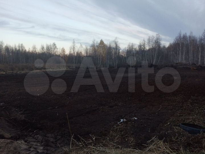 Участок 10 сот. (СНТ, ДНП)