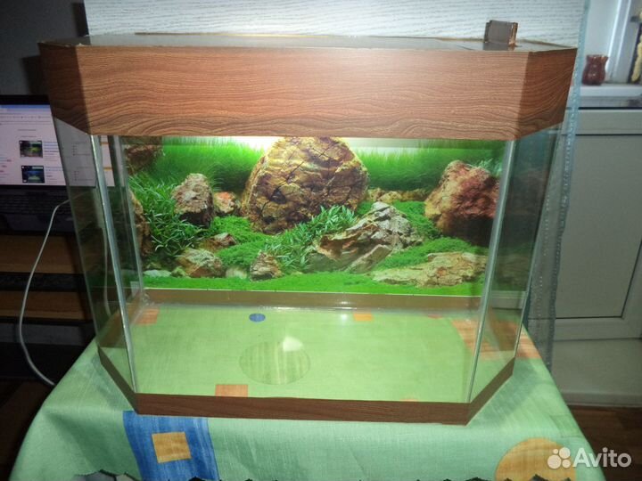 Продаю новые Аквариумы и Черепашники от 10 до 120