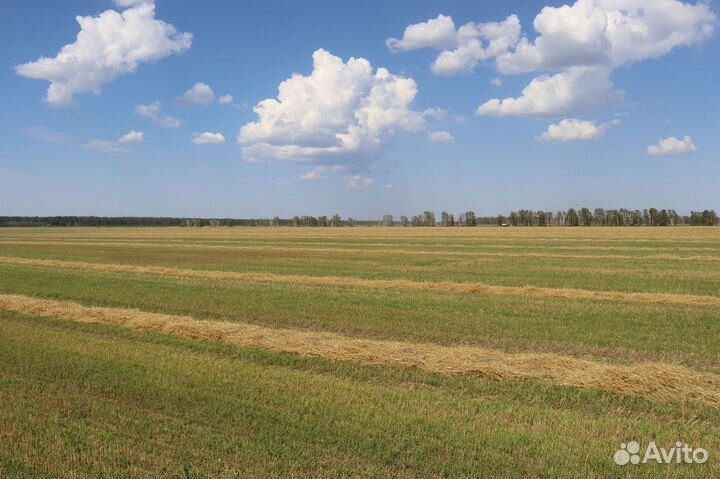 Трактор YTO ELG1604, 2023