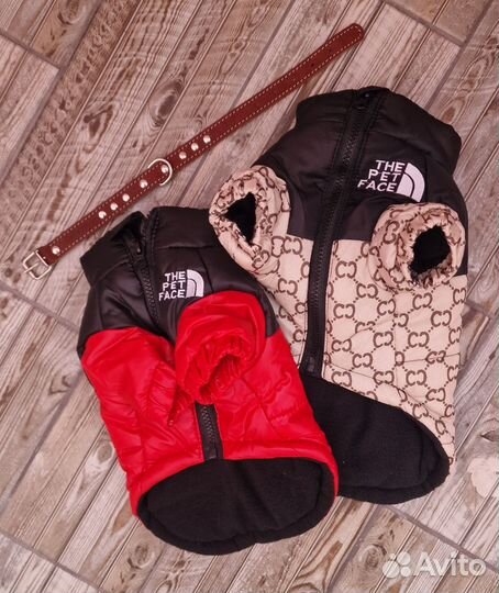 Одежда для собак