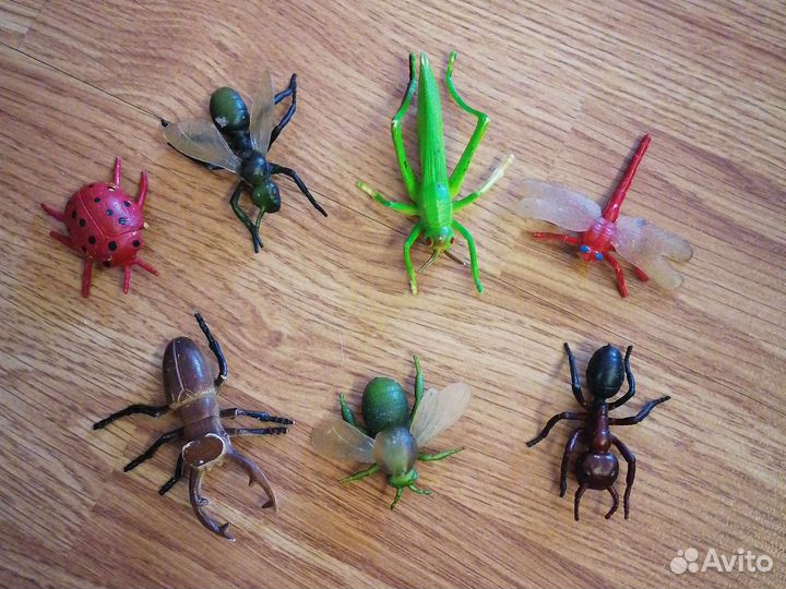 Набор насекомых и животных