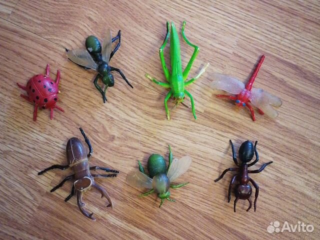 Набор насекомых и животных