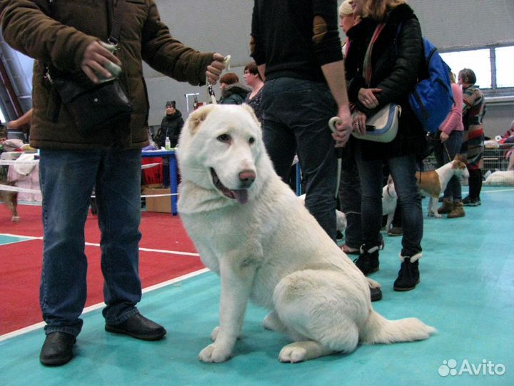 Кабель на вязку