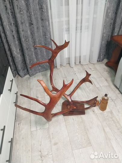 Продам рога