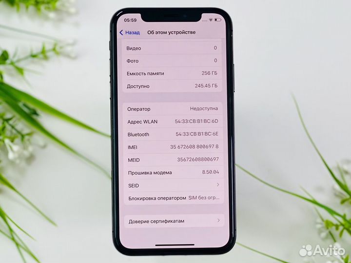 iPhone X, 256 ГБ