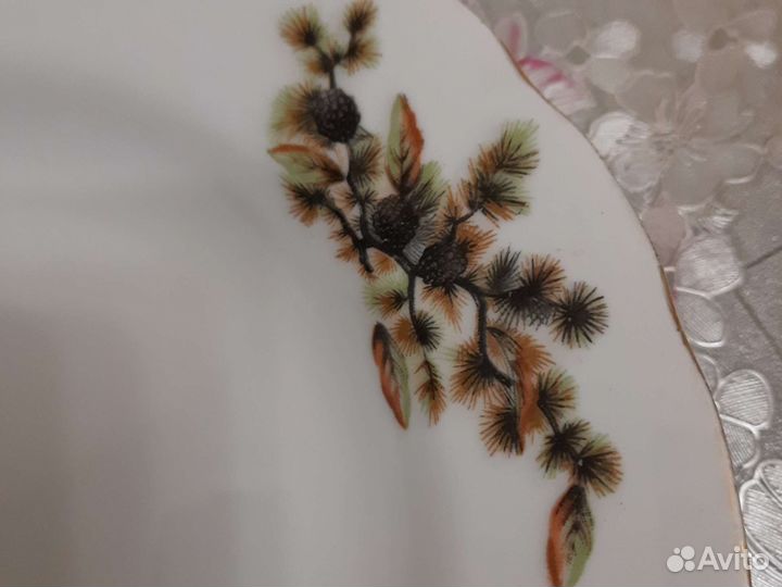 Тарелки глубокие шишки япония