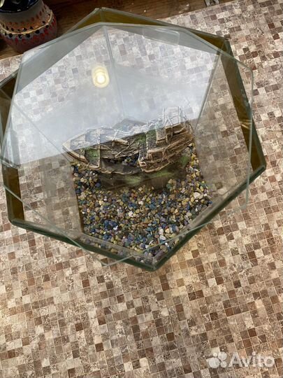 Аквариум для рыбки петушка