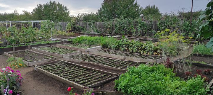 Участок 6,7 сот. (СНТ, ДНП)