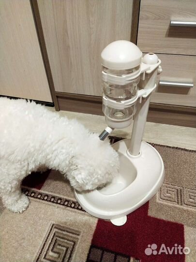 Поилка для собак