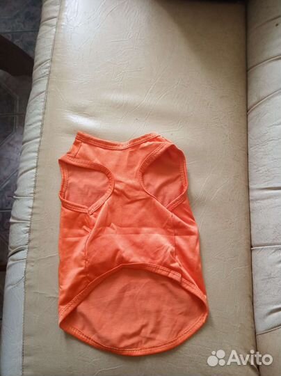 Одежда для маленьких собак