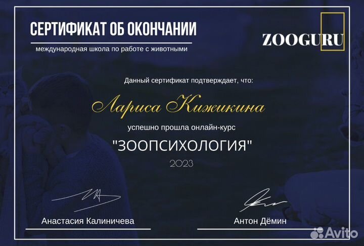 Зоопсихолог. Гуру кошек/ дистанционно