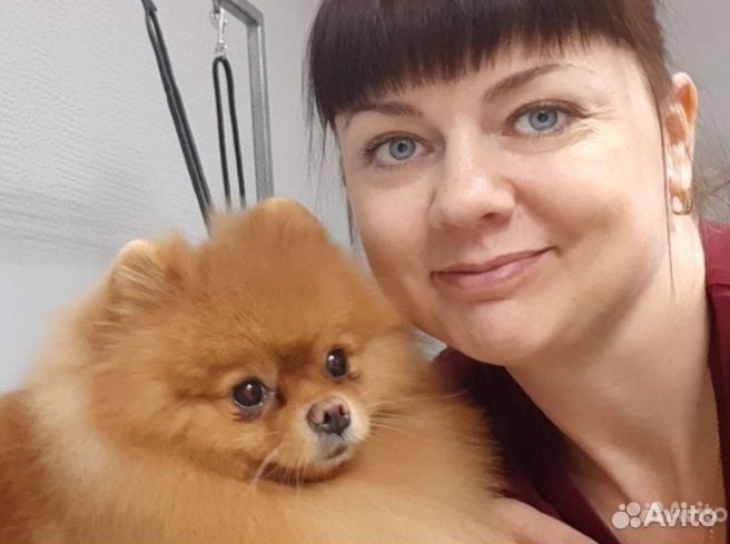 Груминг/Стрижка собак/Стрижка кошек