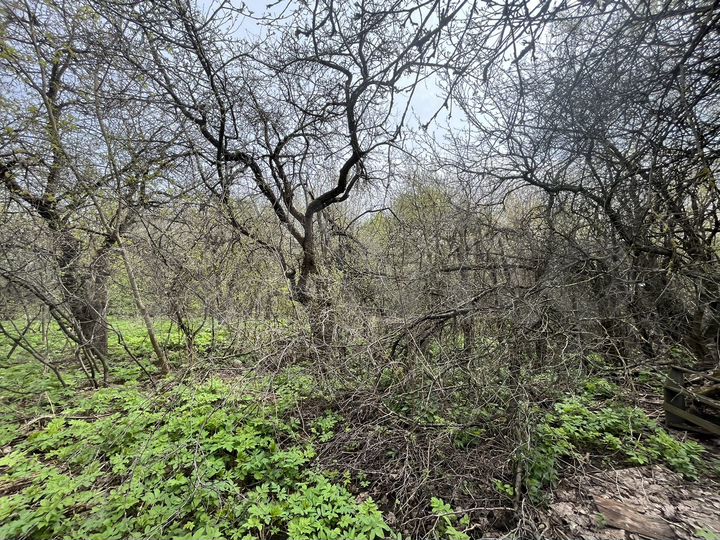 Участок 40 сот. (ИЖС)