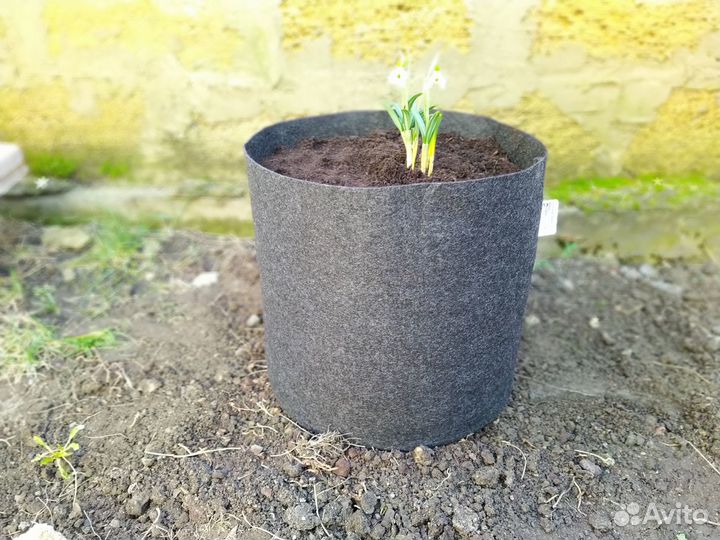 Контейнер для растений 20л