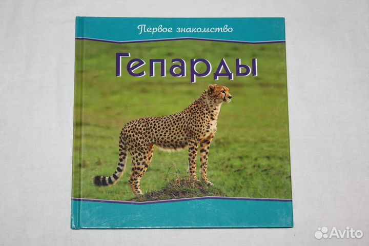 Книги про животных для детей