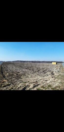 Участок 80,9 сот. (СНТ, ДНП)