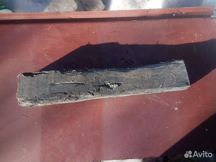 Мореный дуб