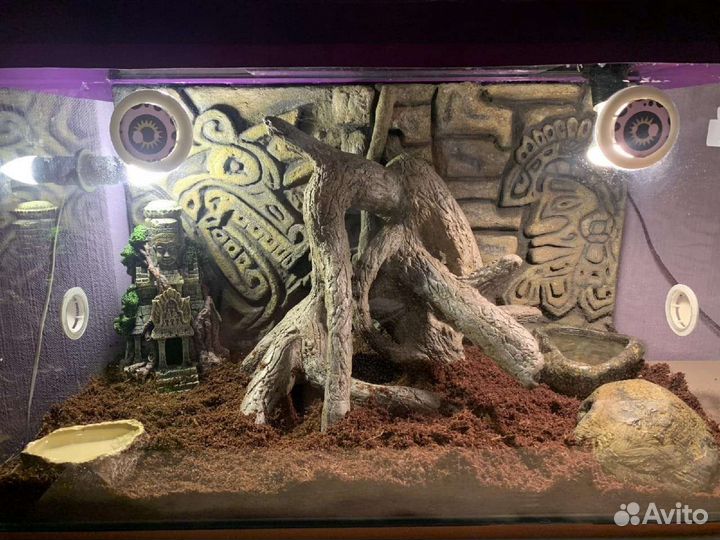 Укрытие/фон в террариум для рептилий