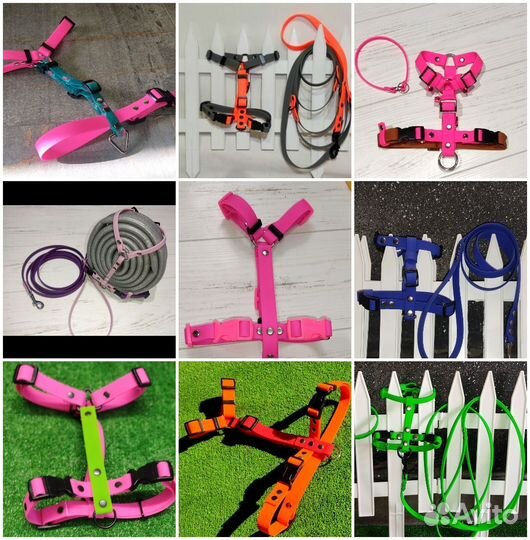 Анатомическая шлейка Биотан