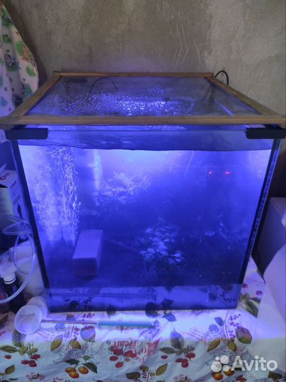 Аквариум