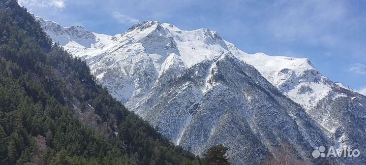 Трансфер минивэн