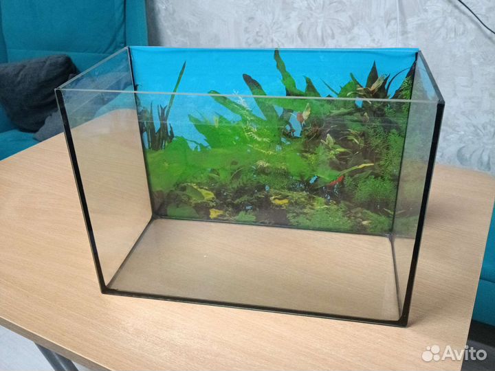 Аквариум