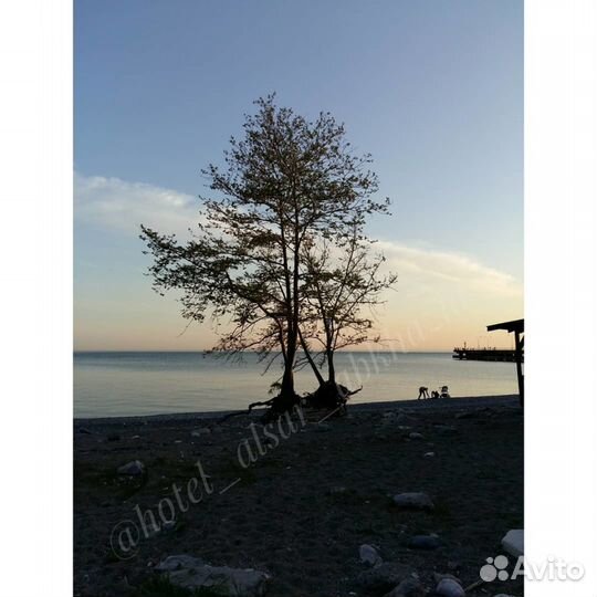 Отдых в Абхазии