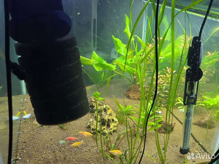 Аквариум 150 литров