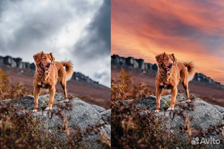 Photohop+Lightroom 20GB План для Фотографов