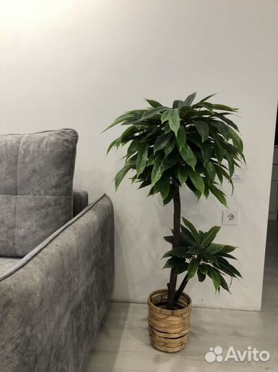 Искуссвенные декоративные растения (цветы, дерево)