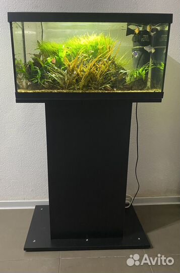 Аквариум с тумбой