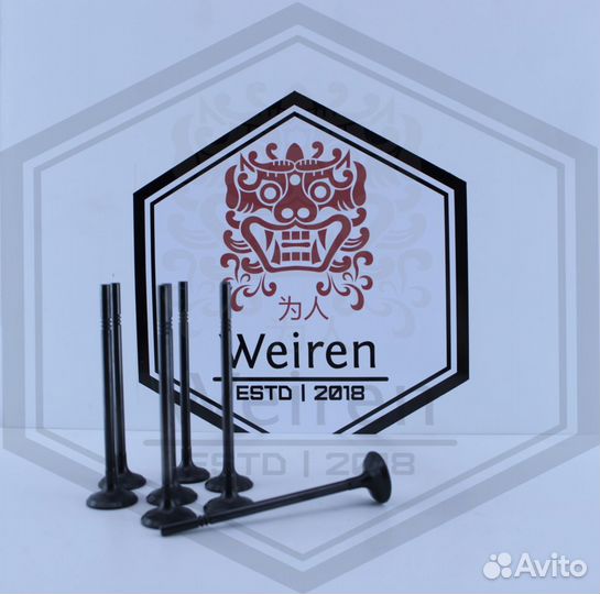 Клапана выпускной Zotye T600 1.5 15s4g