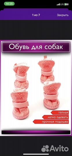 Одежда для собак