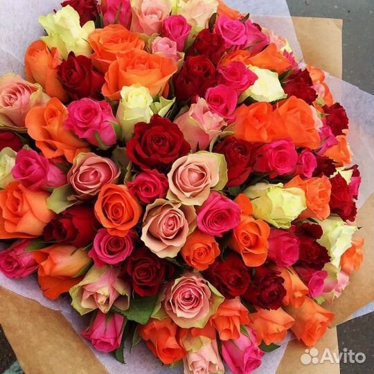 Розы Цветы Букеты 21 33 51 Доставка
