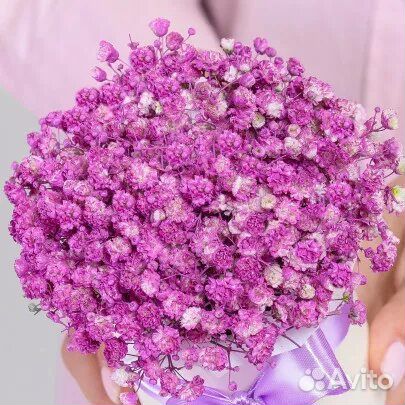 Букеты и Композиции из Цветной Гипсофилы