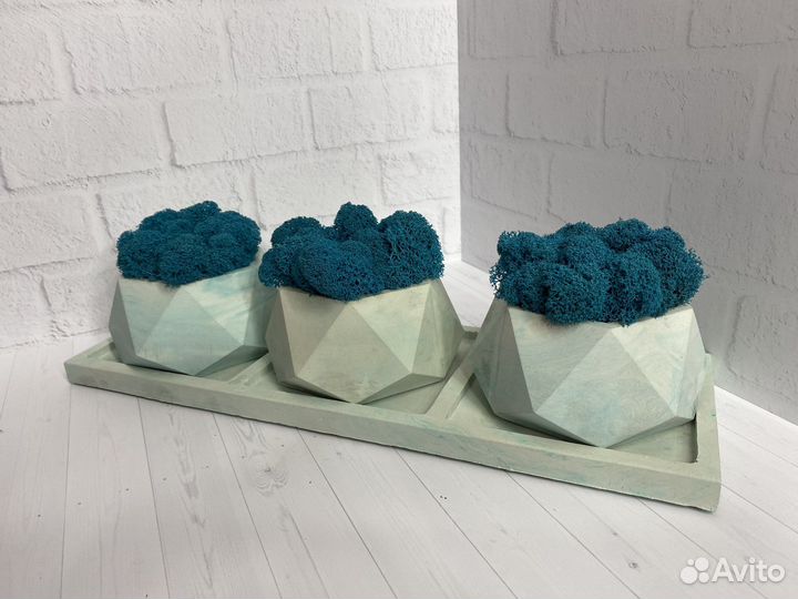 Гипсовое кашпо со стабилизированным мхом 