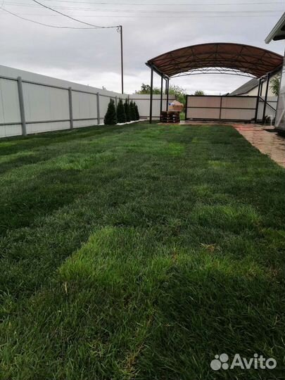 Газон Рулонный